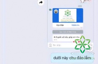 TIN TƯỞNG ĐỂ CHỌN, AN TÂM ĐỂ GIỚI THIỆU