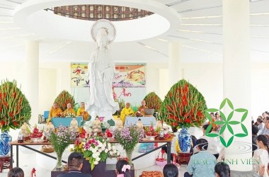 NHỮNG KHOẢNH KHẮC TẠI ĐẠI LỄ VU LAN BÁO HIẾU 2026